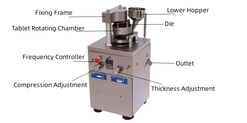 7Tablet Press-13 7Tablet Press-13