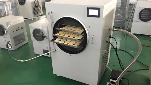 Residential Food Freeze Dryer | Shaanxi Achieve chem-tech Residential Food Freeze Dryer | Shaanxi Achieve chem-tech